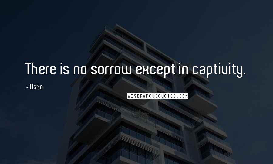 Osho Quotes: There is no sorrow except in captivity.
