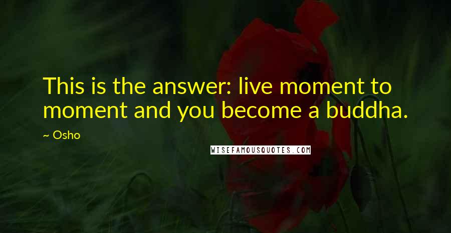 Osho Quotes: This is the answer: live moment to moment and you become a buddha.