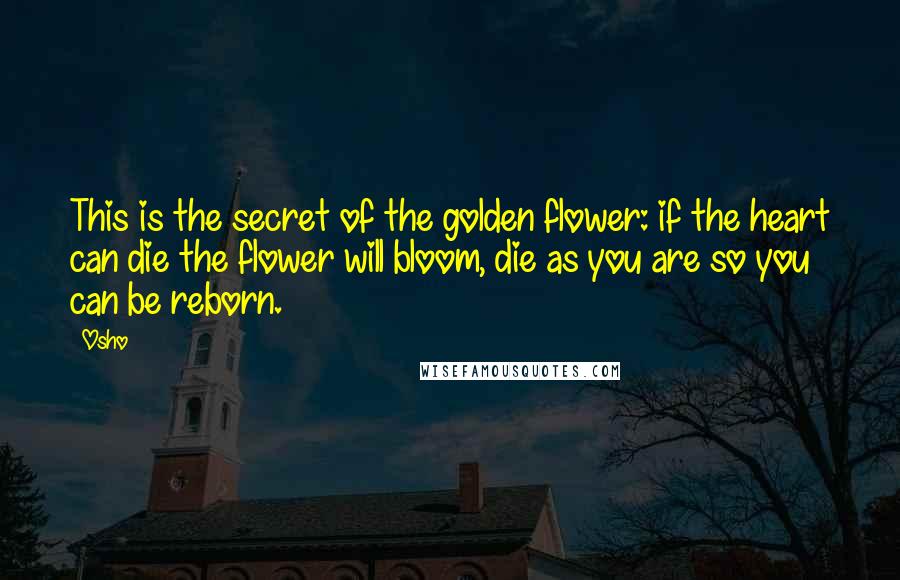 Osho Quotes: This is the secret of the golden flower: if the heart can die the flower will bloom, die as you are so you can be reborn.