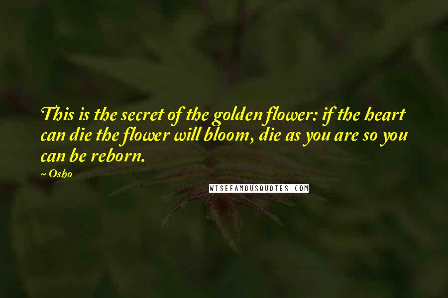 Osho Quotes: This is the secret of the golden flower: if the heart can die the flower will bloom, die as you are so you can be reborn.