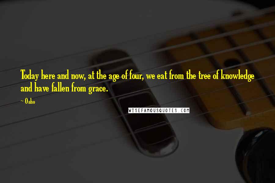 Osho Quotes: Today here and now, at the age of four, we eat from the tree of knowledge and have fallen from grace.