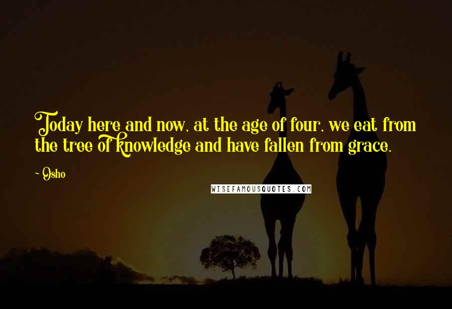 Osho Quotes: Today here and now, at the age of four, we eat from the tree of knowledge and have fallen from grace.
