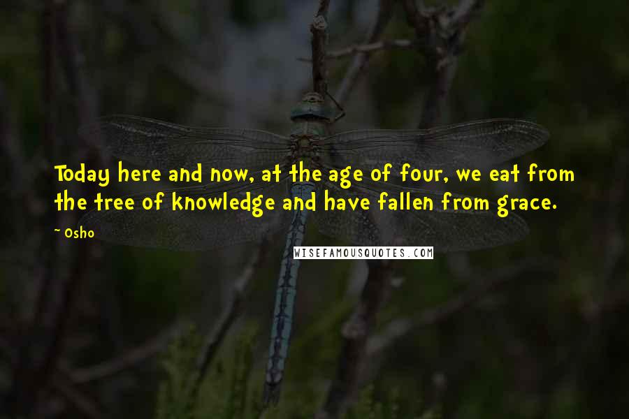 Osho Quotes: Today here and now, at the age of four, we eat from the tree of knowledge and have fallen from grace.