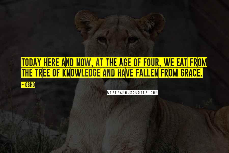 Osho Quotes: Today here and now, at the age of four, we eat from the tree of knowledge and have fallen from grace.