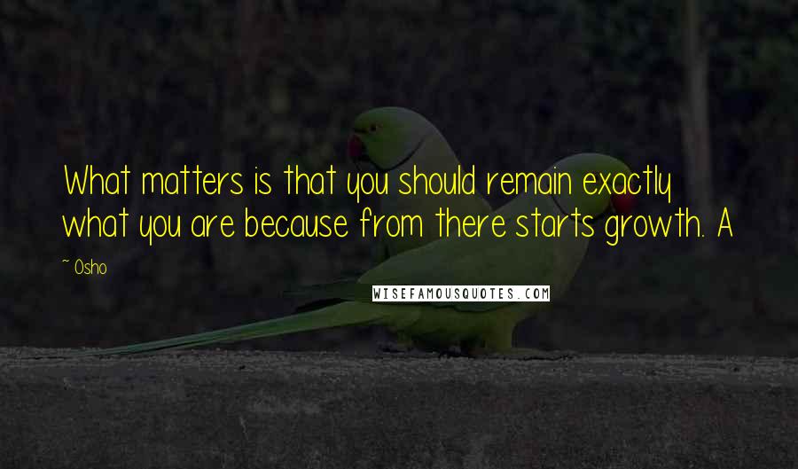 Osho Quotes: What matters is that you should remain exactly what you are because from there starts growth. A