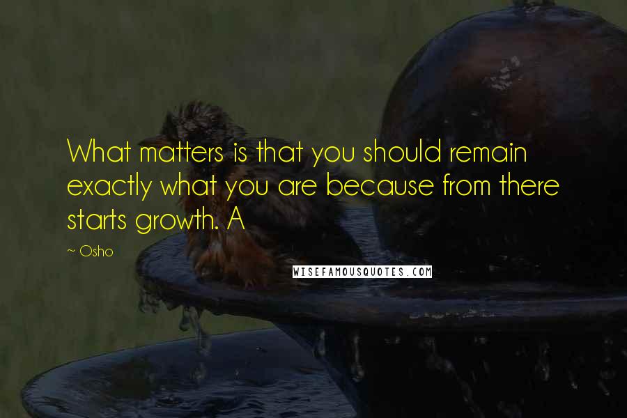 Osho Quotes: What matters is that you should remain exactly what you are because from there starts growth. A