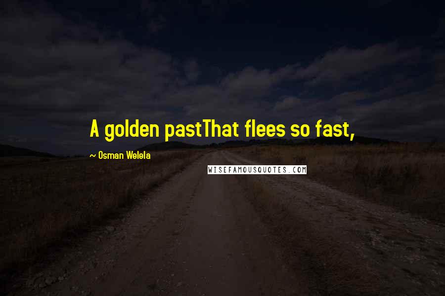 Osman Welela Quotes: A golden pastThat flees so fast,