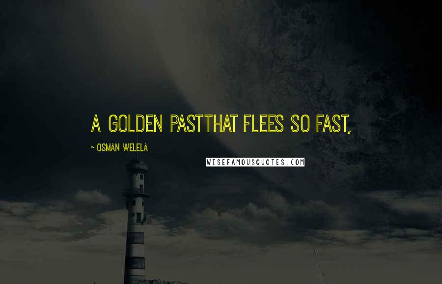 Osman Welela Quotes: A golden pastThat flees so fast,