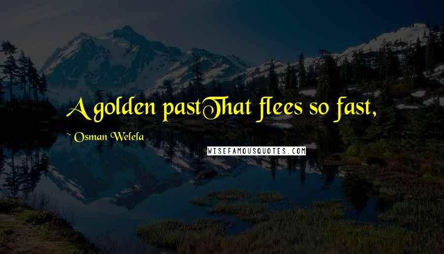 Osman Welela Quotes: A golden pastThat flees so fast,