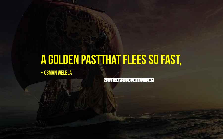 Osman Welela Quotes: A golden pastThat flees so fast,