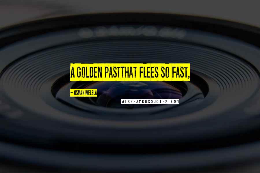 Osman Welela Quotes: A golden pastThat flees so fast,