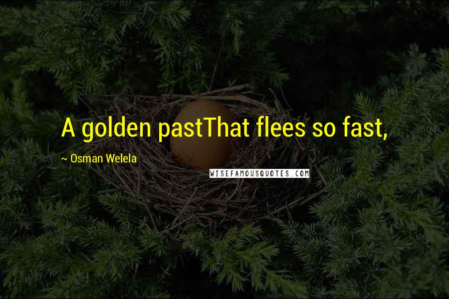 Osman Welela Quotes: A golden pastThat flees so fast,