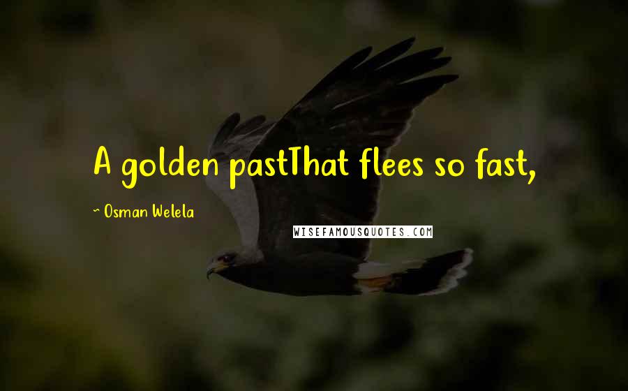 Osman Welela Quotes: A golden pastThat flees so fast,