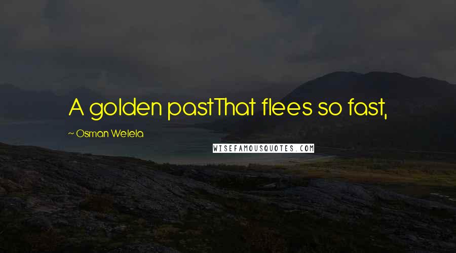 Osman Welela Quotes: A golden pastThat flees so fast,