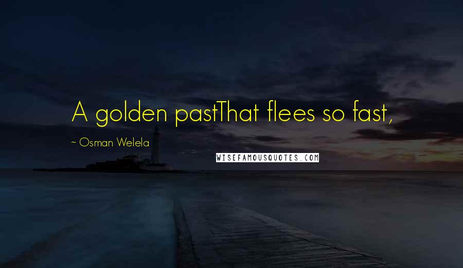 Osman Welela Quotes: A golden pastThat flees so fast,