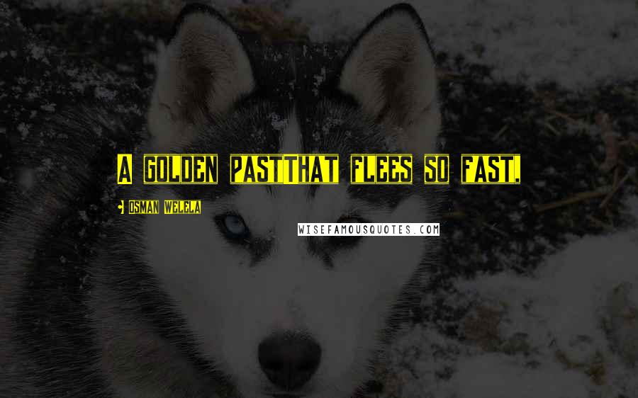 Osman Welela Quotes: A golden pastThat flees so fast,