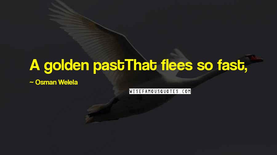 Osman Welela Quotes: A golden pastThat flees so fast,