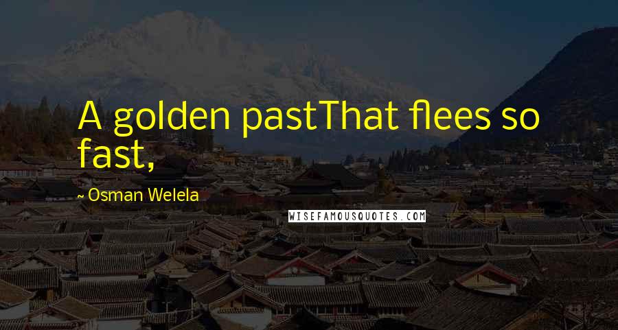Osman Welela Quotes: A golden pastThat flees so fast,