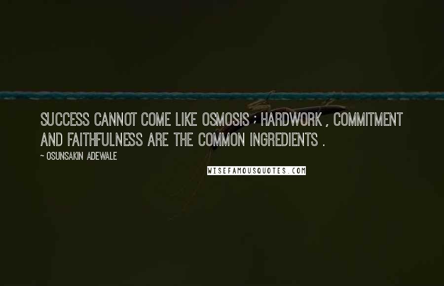 Osunsakin Adewale Quotes: Success cannot come like osmosis ; hardwork , commitment and faithfulness are the common ingredients .