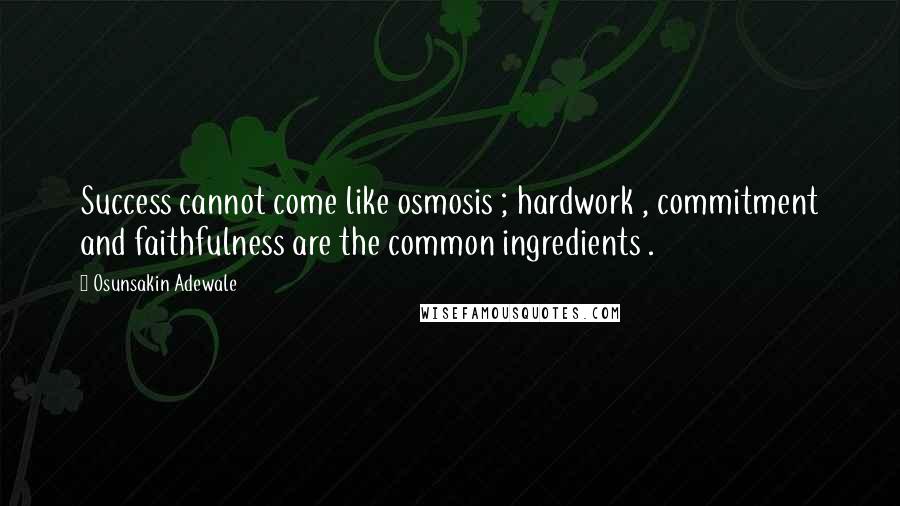 Osunsakin Adewale Quotes: Success cannot come like osmosis ; hardwork , commitment and faithfulness are the common ingredients .