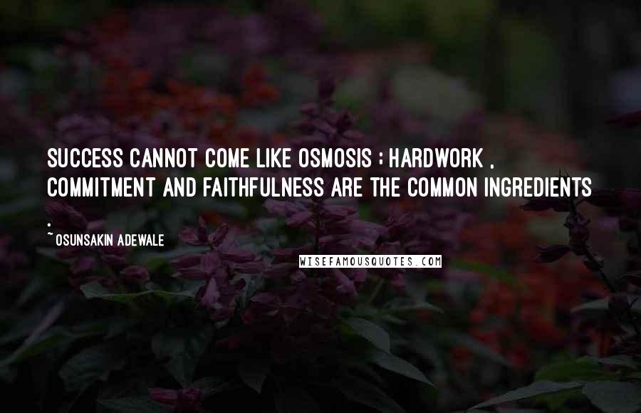 Osunsakin Adewale Quotes: Success cannot come like osmosis ; hardwork , commitment and faithfulness are the common ingredients .