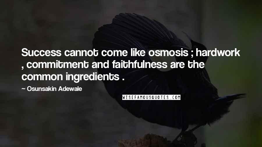 Osunsakin Adewale Quotes: Success cannot come like osmosis ; hardwork , commitment and faithfulness are the common ingredients .