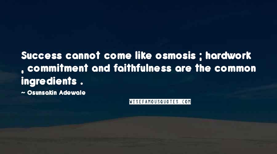 Osunsakin Adewale Quotes: Success cannot come like osmosis ; hardwork , commitment and faithfulness are the common ingredients .