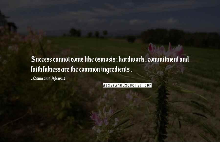 Osunsakin Adewale Quotes: Success cannot come like osmosis ; hardwork , commitment and faithfulness are the common ingredients .