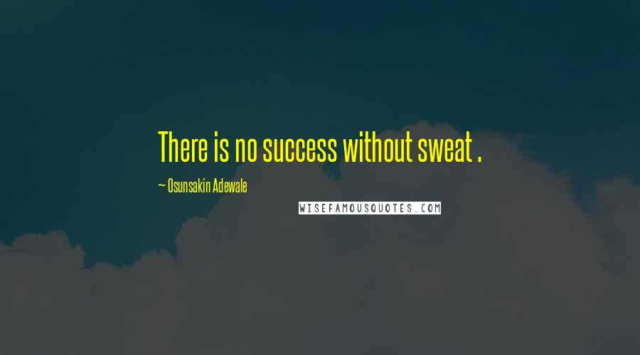Osunsakin Adewale Quotes: There is no success without sweat .