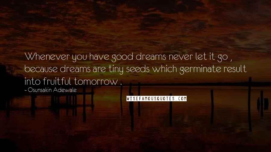Osunsakin Adewale Quotes: Whenever you have good dreams never let it go , because dreams are tiny seeds which germinate result into fruitful tomorrow .