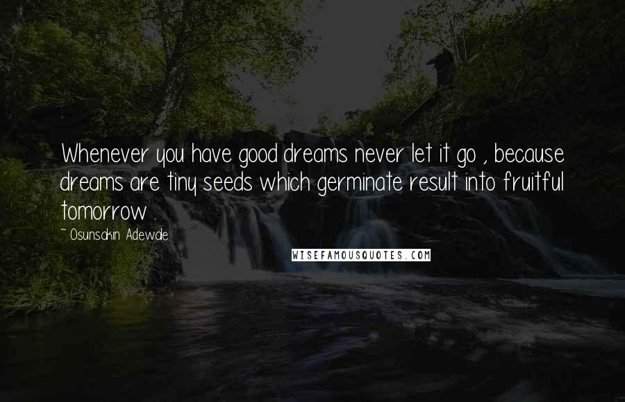 Osunsakin Adewale Quotes: Whenever you have good dreams never let it go , because dreams are tiny seeds which germinate result into fruitful tomorrow .