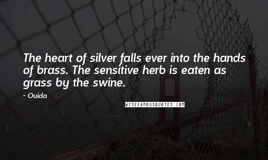 Ouida Quotes: The heart of silver falls ever into the hands of brass. The sensitive herb is eaten as grass by the swine.