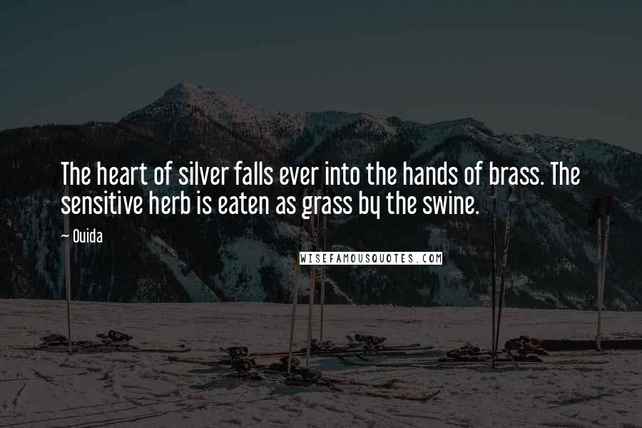 Ouida Quotes: The heart of silver falls ever into the hands of brass. The sensitive herb is eaten as grass by the swine.