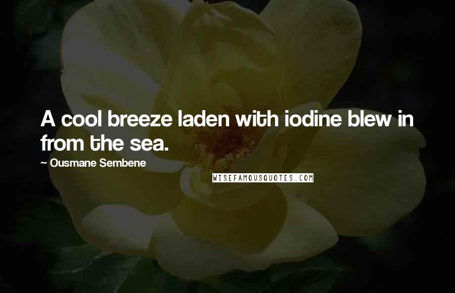 Ousmane Sembene Quotes: A cool breeze laden with iodine blew in from the sea.