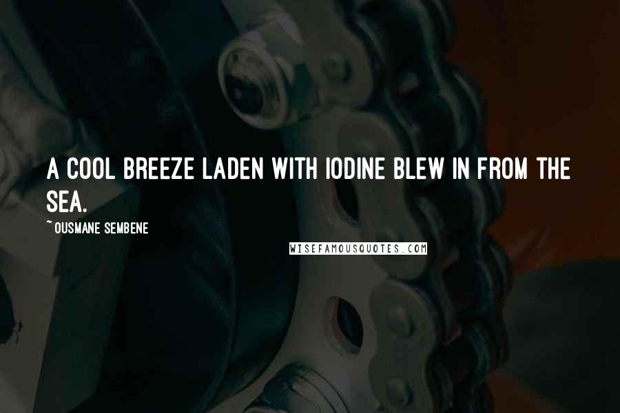 Ousmane Sembene Quotes: A cool breeze laden with iodine blew in from the sea.