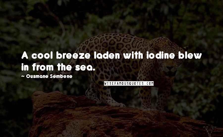 Ousmane Sembene Quotes: A cool breeze laden with iodine blew in from the sea.