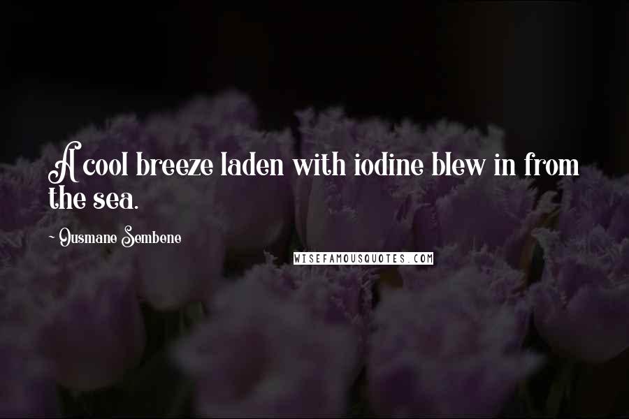 Ousmane Sembene Quotes: A cool breeze laden with iodine blew in from the sea.