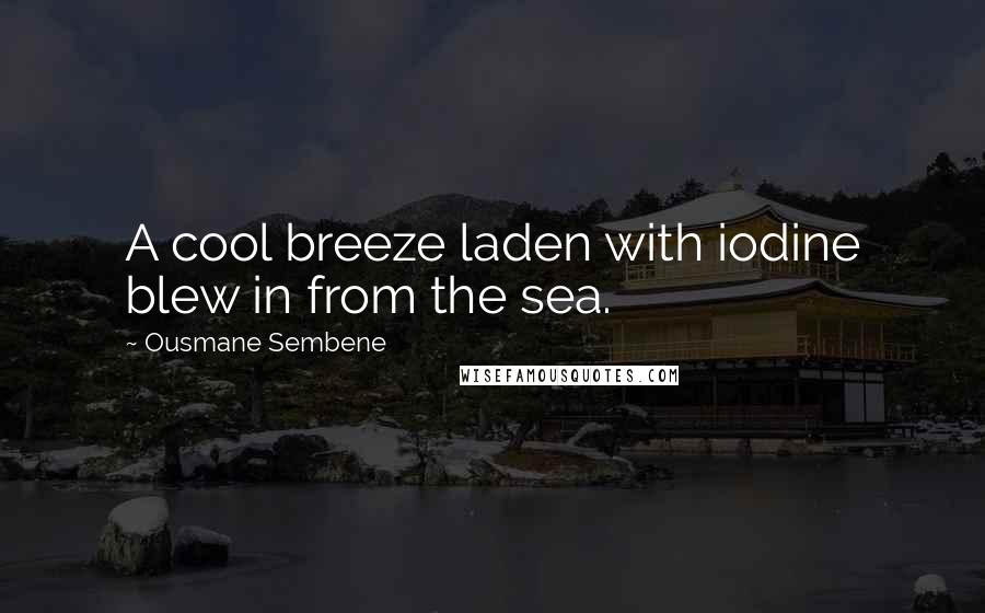 Ousmane Sembene Quotes: A cool breeze laden with iodine blew in from the sea.