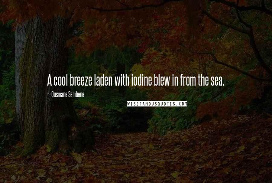 Ousmane Sembene Quotes: A cool breeze laden with iodine blew in from the sea.