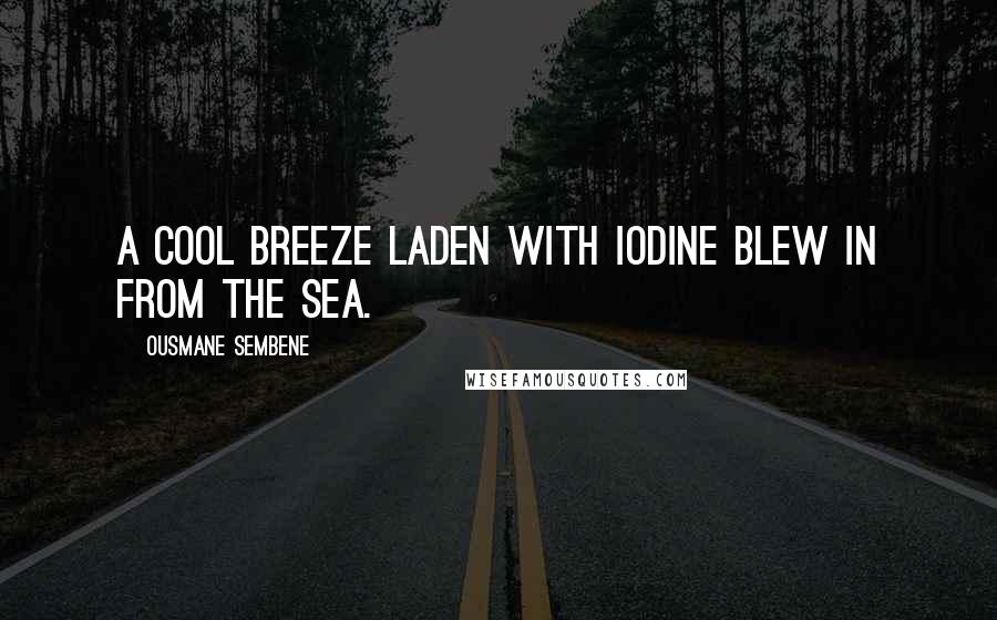 Ousmane Sembene Quotes: A cool breeze laden with iodine blew in from the sea.