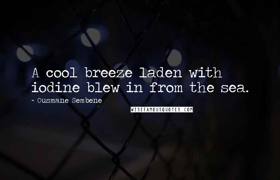 Ousmane Sembene Quotes: A cool breeze laden with iodine blew in from the sea.