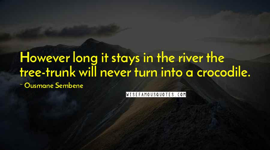 Ousmane Sembene Quotes: However long it stays in the river the tree-trunk will never turn into a crocodile.