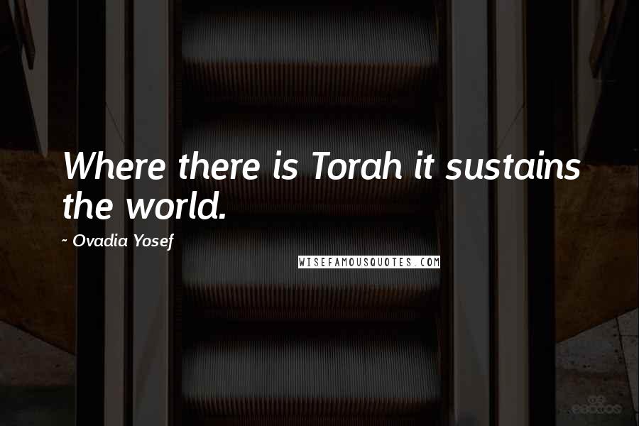 Ovadia Yosef Quotes: Where there is Torah it sustains the world.