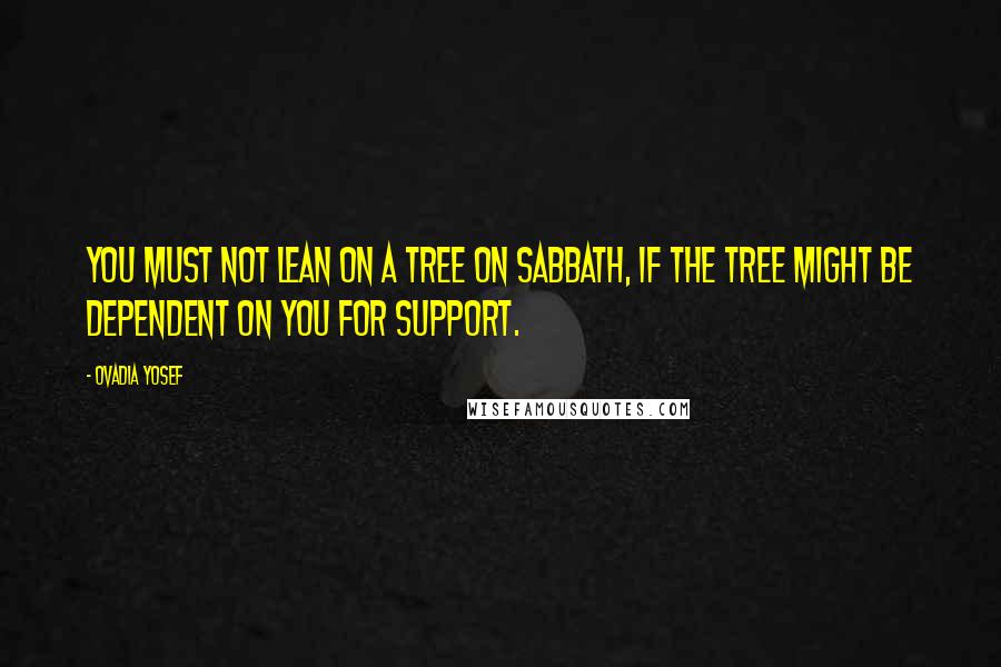 Ovadia Yosef Quotes: You must not lean on a tree on Sabbath, if the tree might be dependent on you for support.