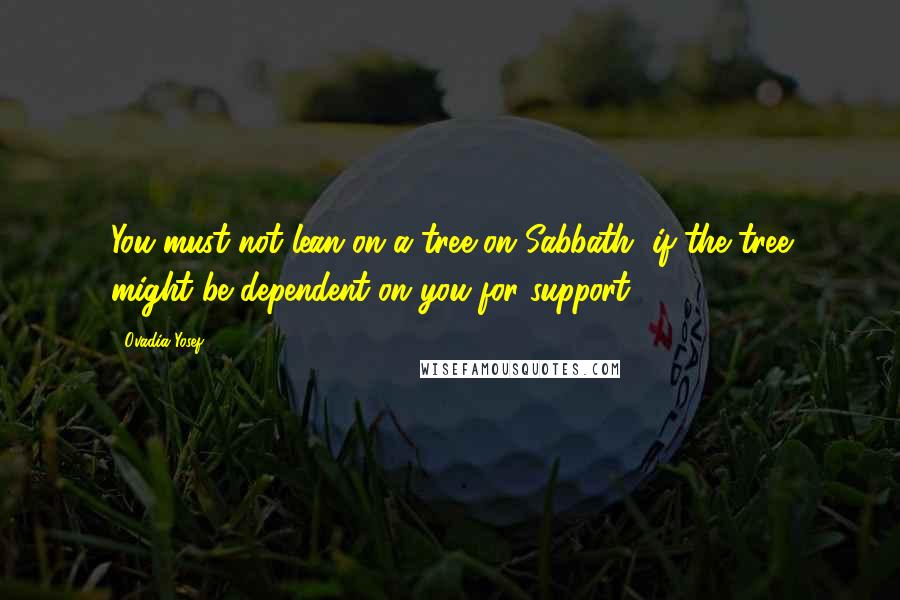 Ovadia Yosef Quotes: You must not lean on a tree on Sabbath, if the tree might be dependent on you for support.