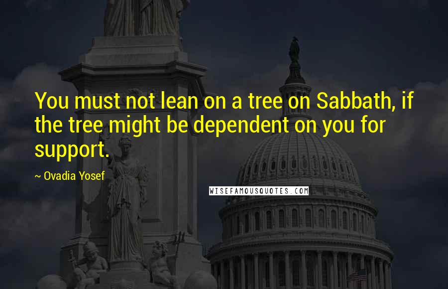 Ovadia Yosef Quotes: You must not lean on a tree on Sabbath, if the tree might be dependent on you for support.