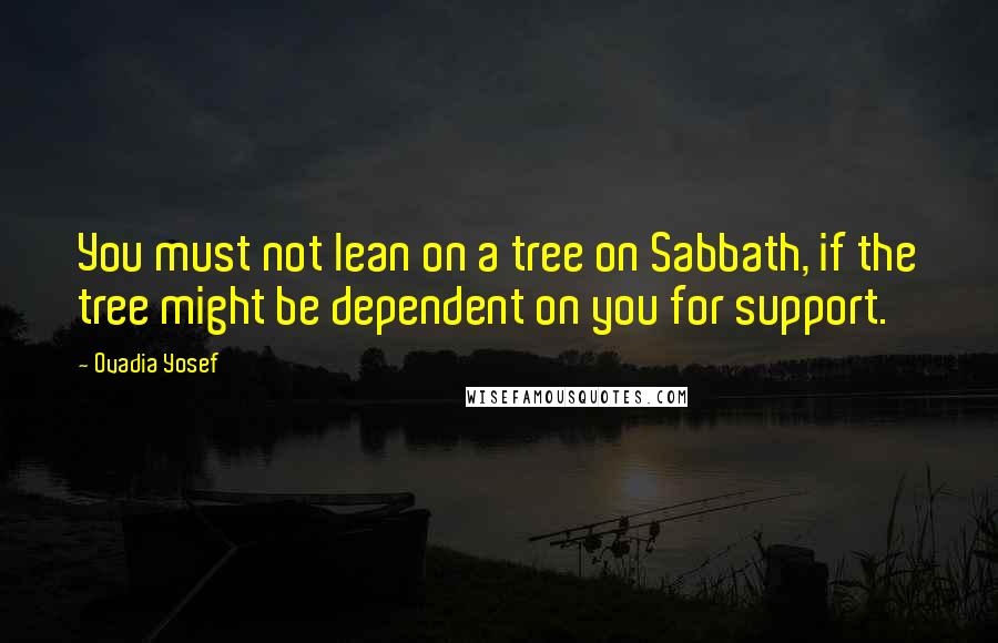 Ovadia Yosef Quotes: You must not lean on a tree on Sabbath, if the tree might be dependent on you for support.