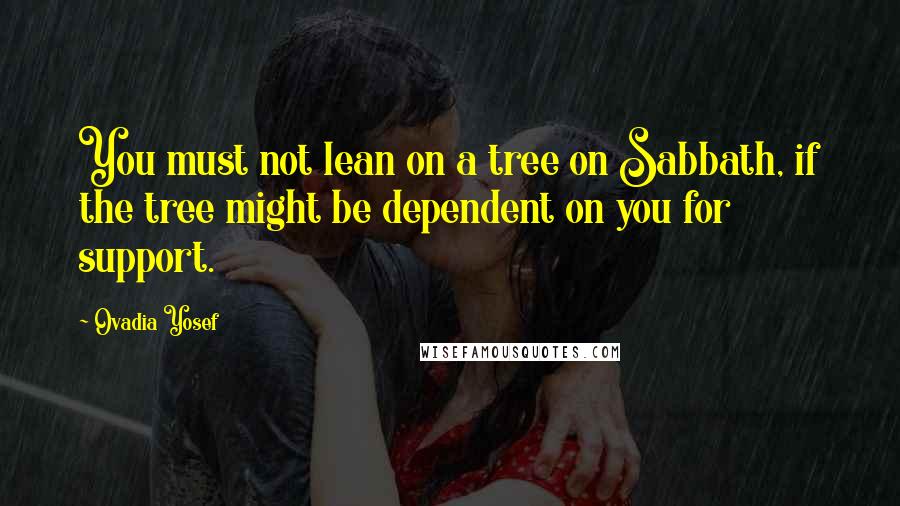 Ovadia Yosef Quotes: You must not lean on a tree on Sabbath, if the tree might be dependent on you for support.