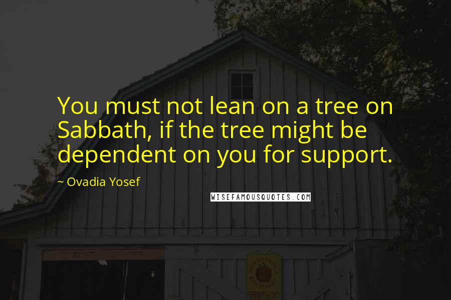 Ovadia Yosef Quotes: You must not lean on a tree on Sabbath, if the tree might be dependent on you for support.