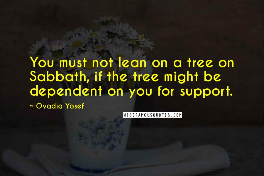 Ovadia Yosef Quotes: You must not lean on a tree on Sabbath, if the tree might be dependent on you for support.